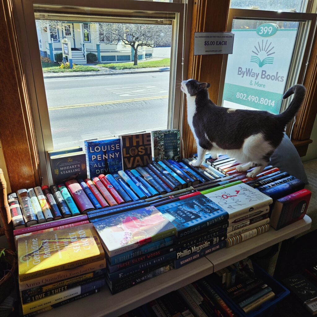 front window of byway books with black and white cat standing on stack of books