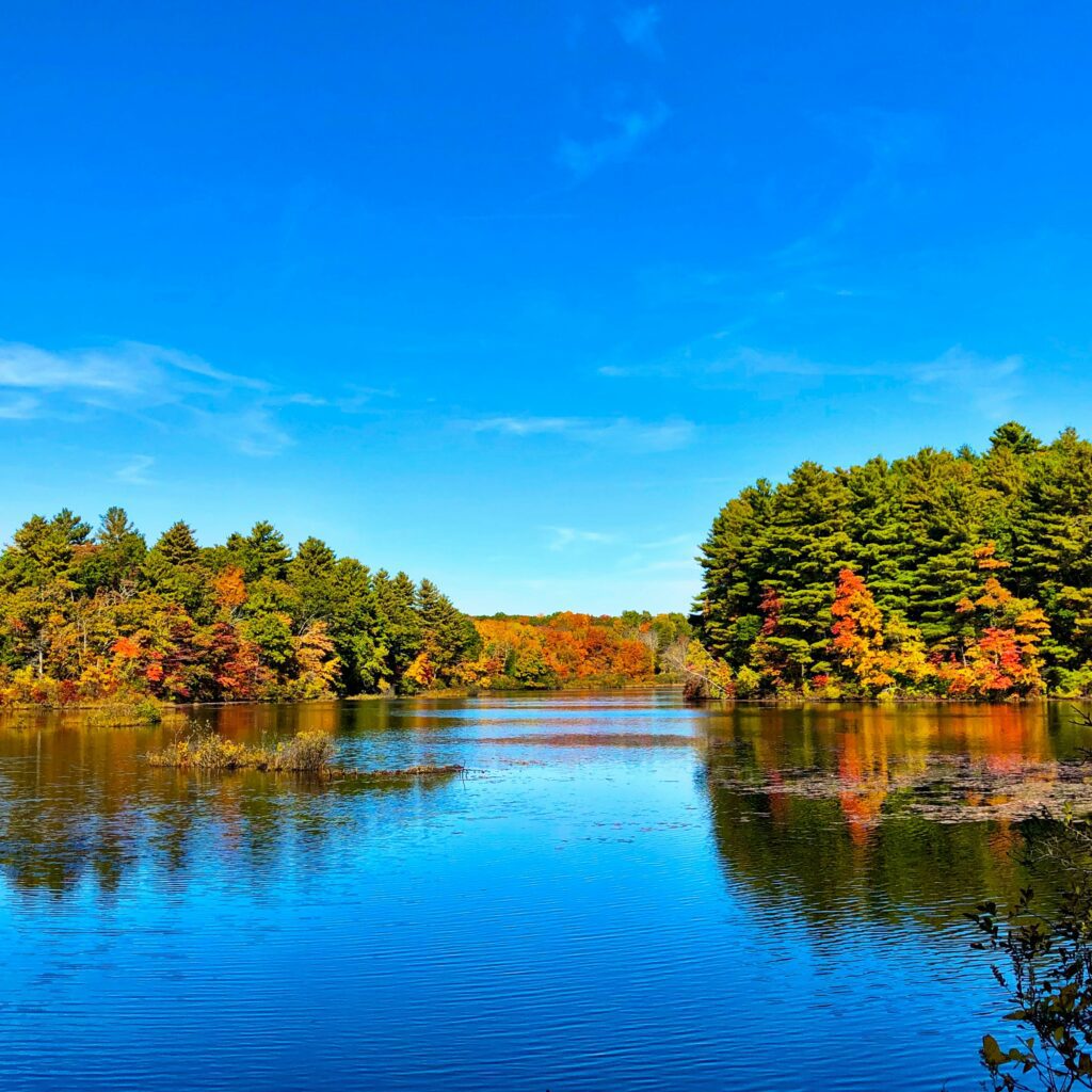 Vermont river with fall foliage