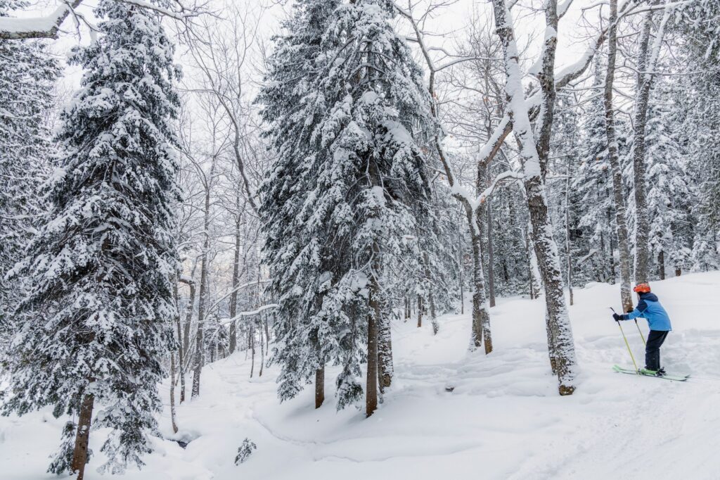 skier moving through snow covered trees
